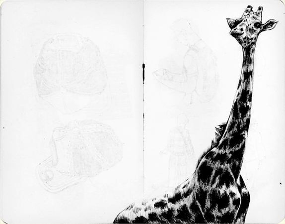 Anna Lubinski - Illustration - Croquis au Muséum national d'Histoire naturelle à Paris. Girafe en contre-plongée.